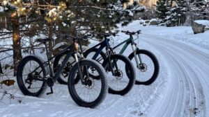 affordable all terrain fat bikes