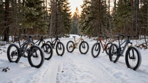 affordable fat bikes 2026