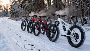 affordable versatile fat bikes