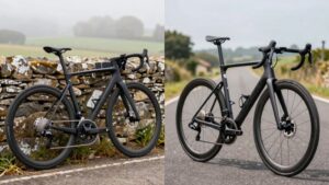 endurance vs race bikes