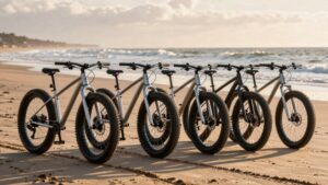 fat bikes for beaches