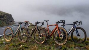 top endurance road bikes