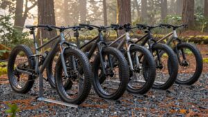 top fat bike racks