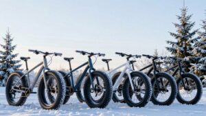 winter fat bike guide